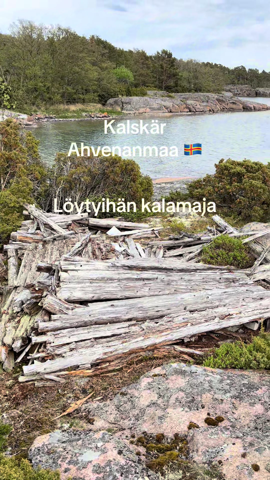 @Satu Laakso