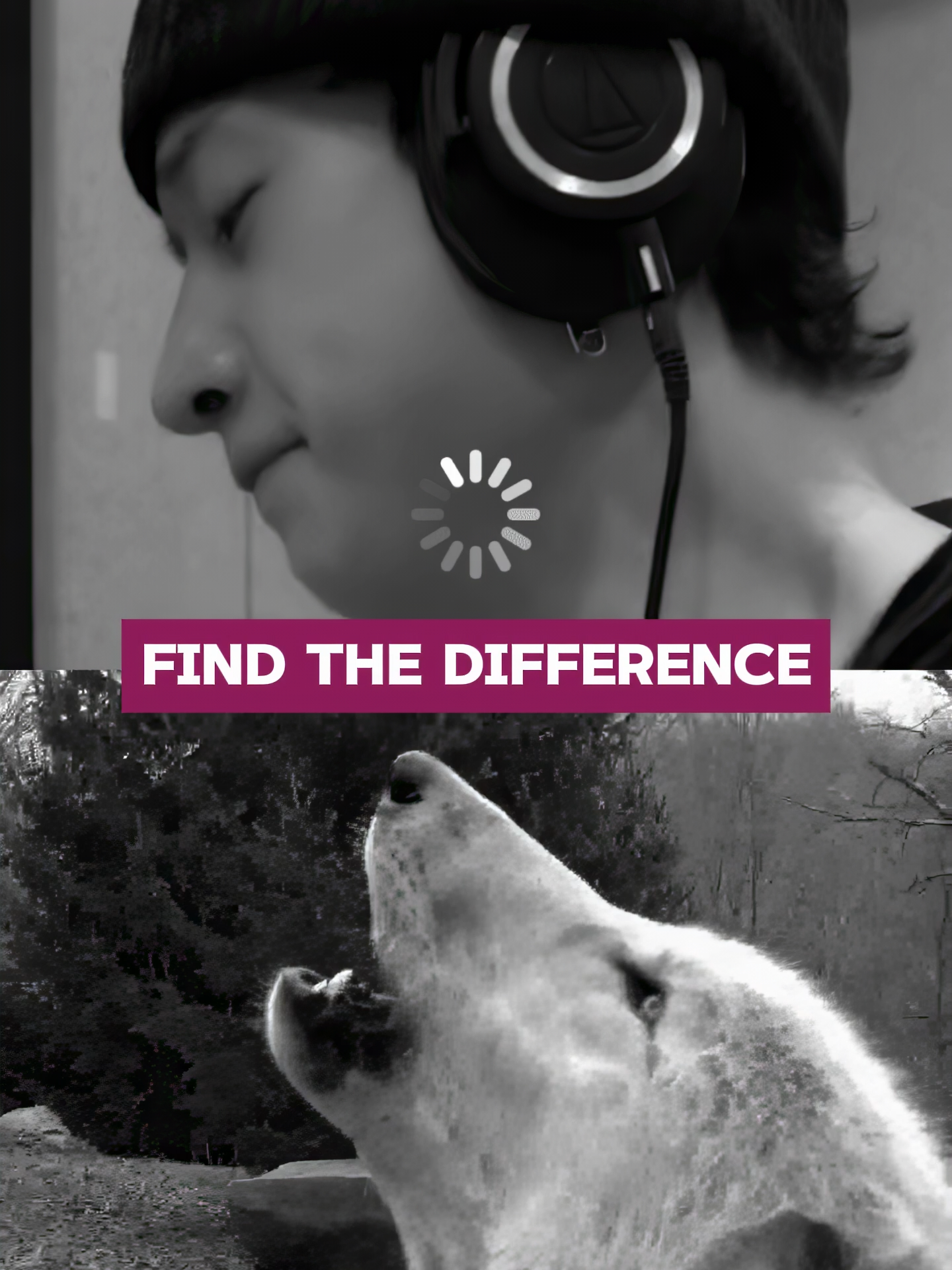 @Duo Dive Music