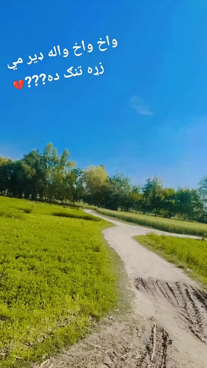 @سیدحیل🥷1