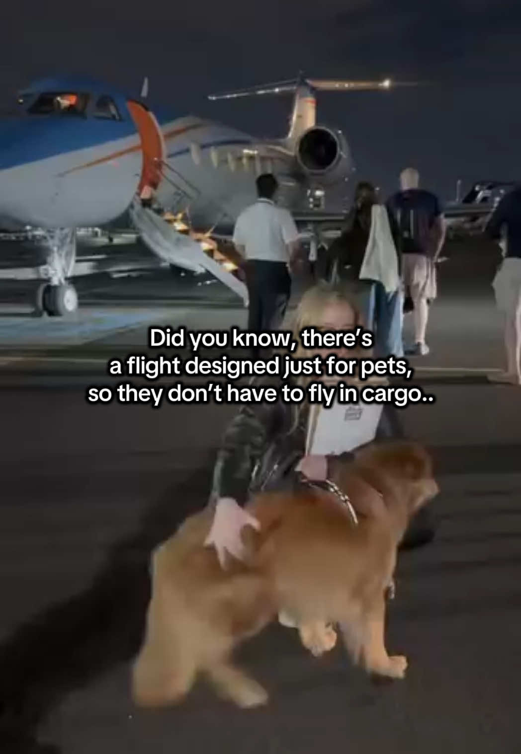 @K9 JETS
