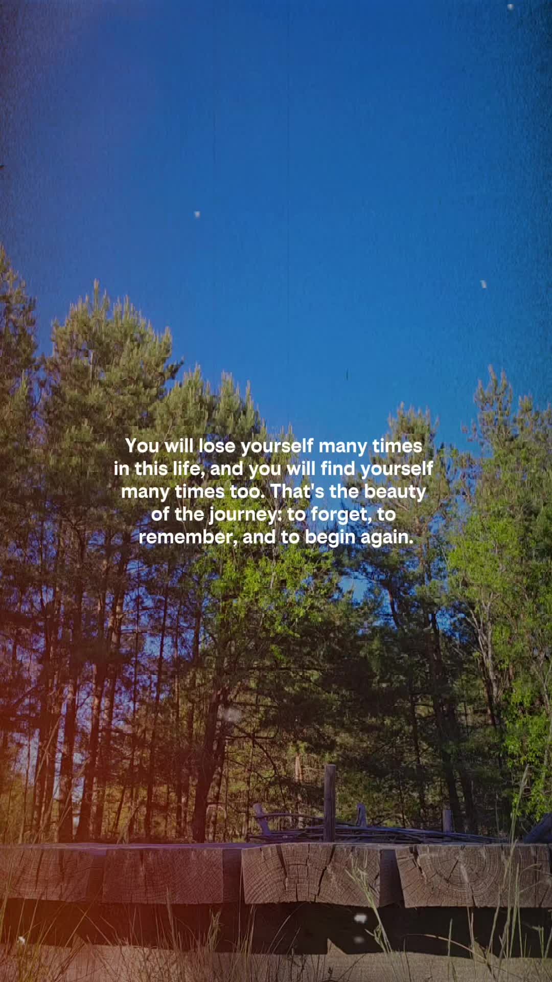 @Marika 🖤