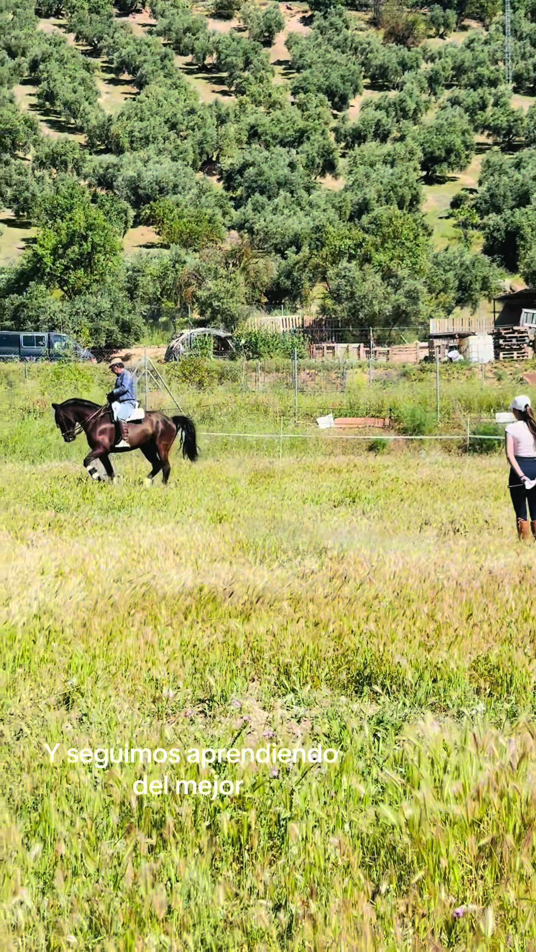 @Sandra Molina🐎🇪🇸