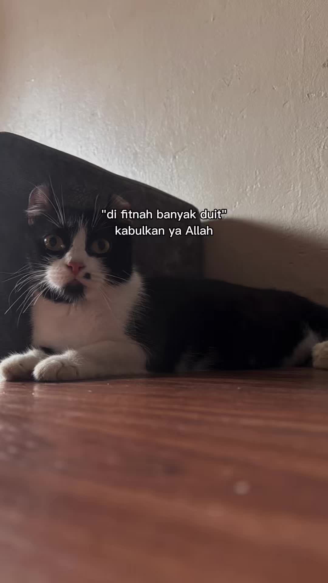 @Anakbulusmami