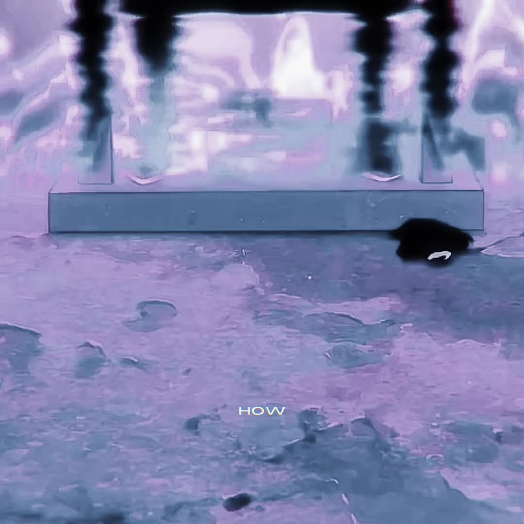 @𝔖&image;𝔑