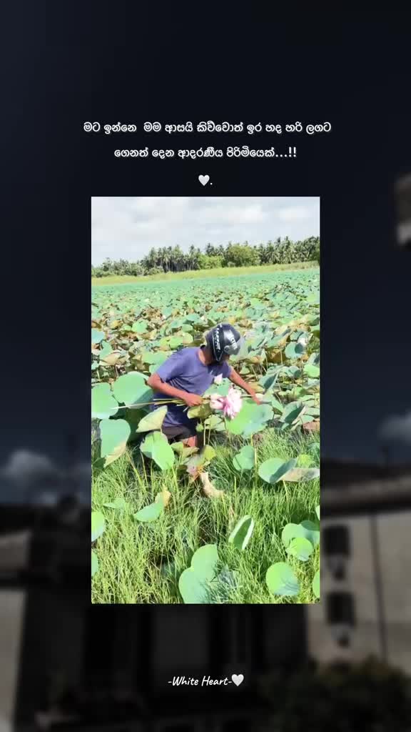 @𝐖𝐡𝐢𝐭𝐞 𝐇𝐞𝐚𝐫𝐭 🤍