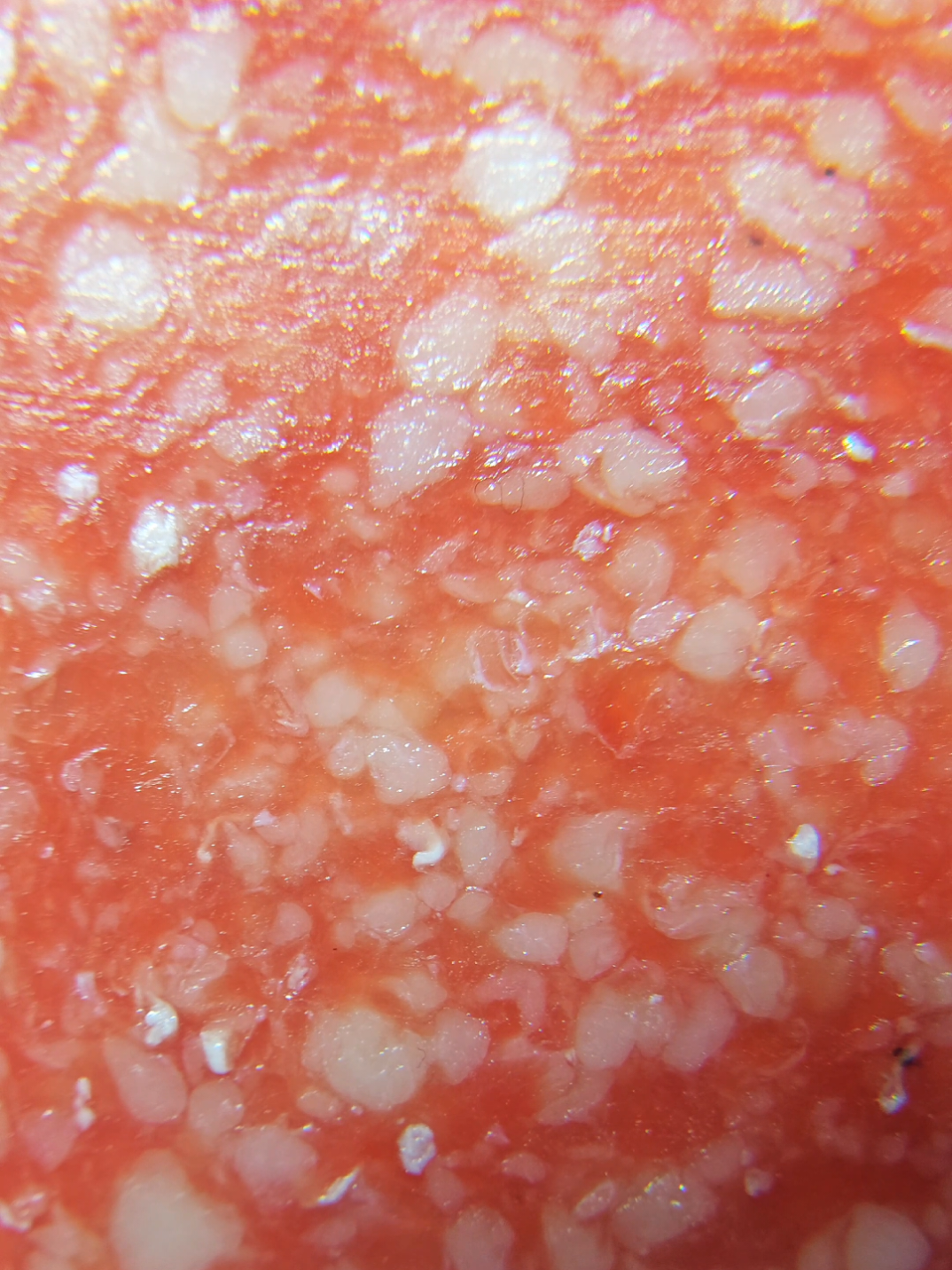 @Arny's Macro Vision