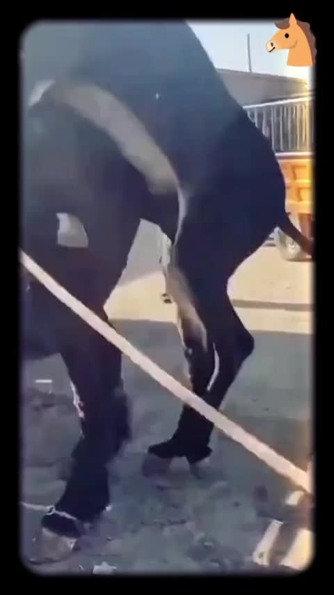 @FunLoveFun1