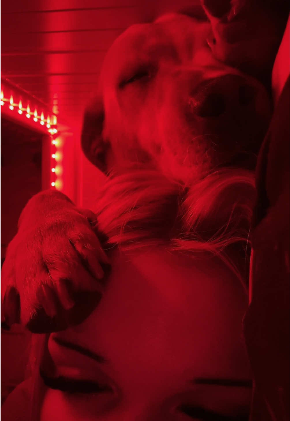 @🖤