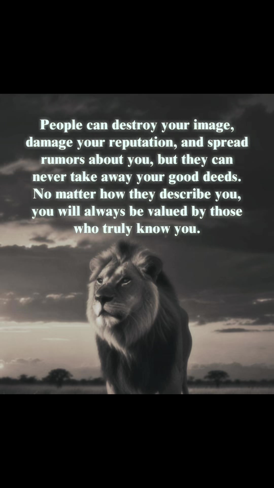 @Quote Queen 👑