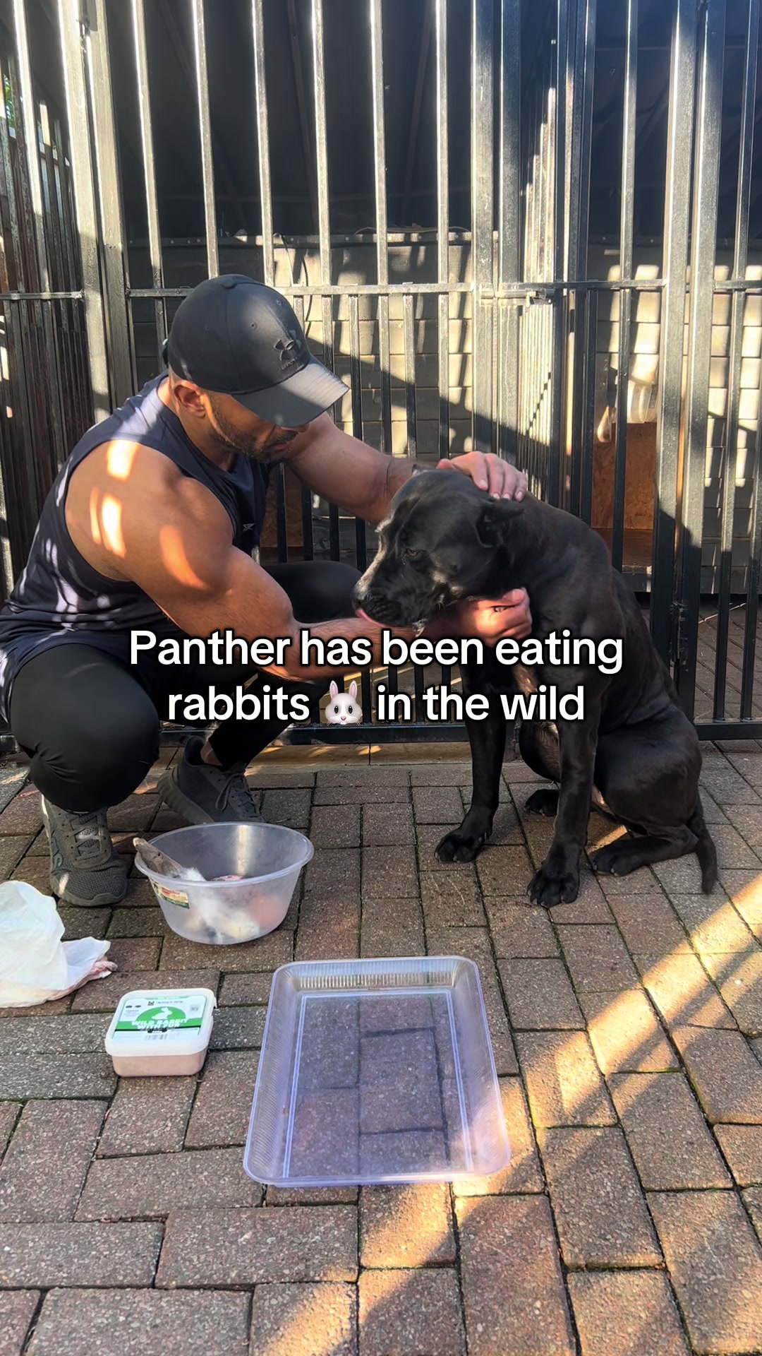@loyal_pantherr