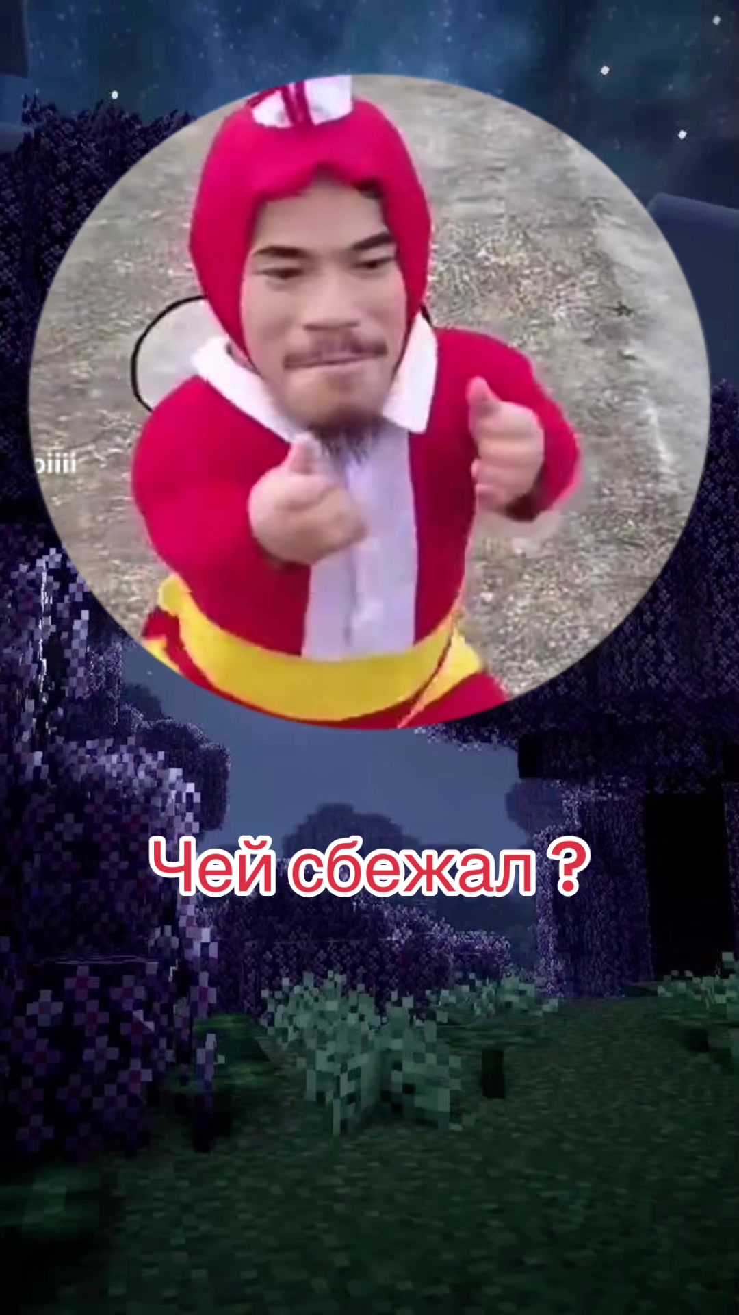 @_Bibo_