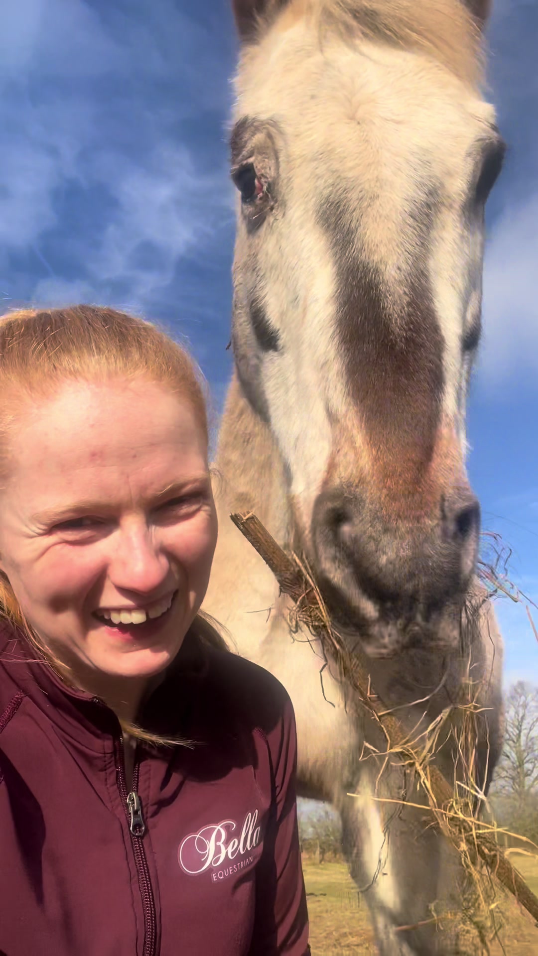@Equine Nutrition With April
