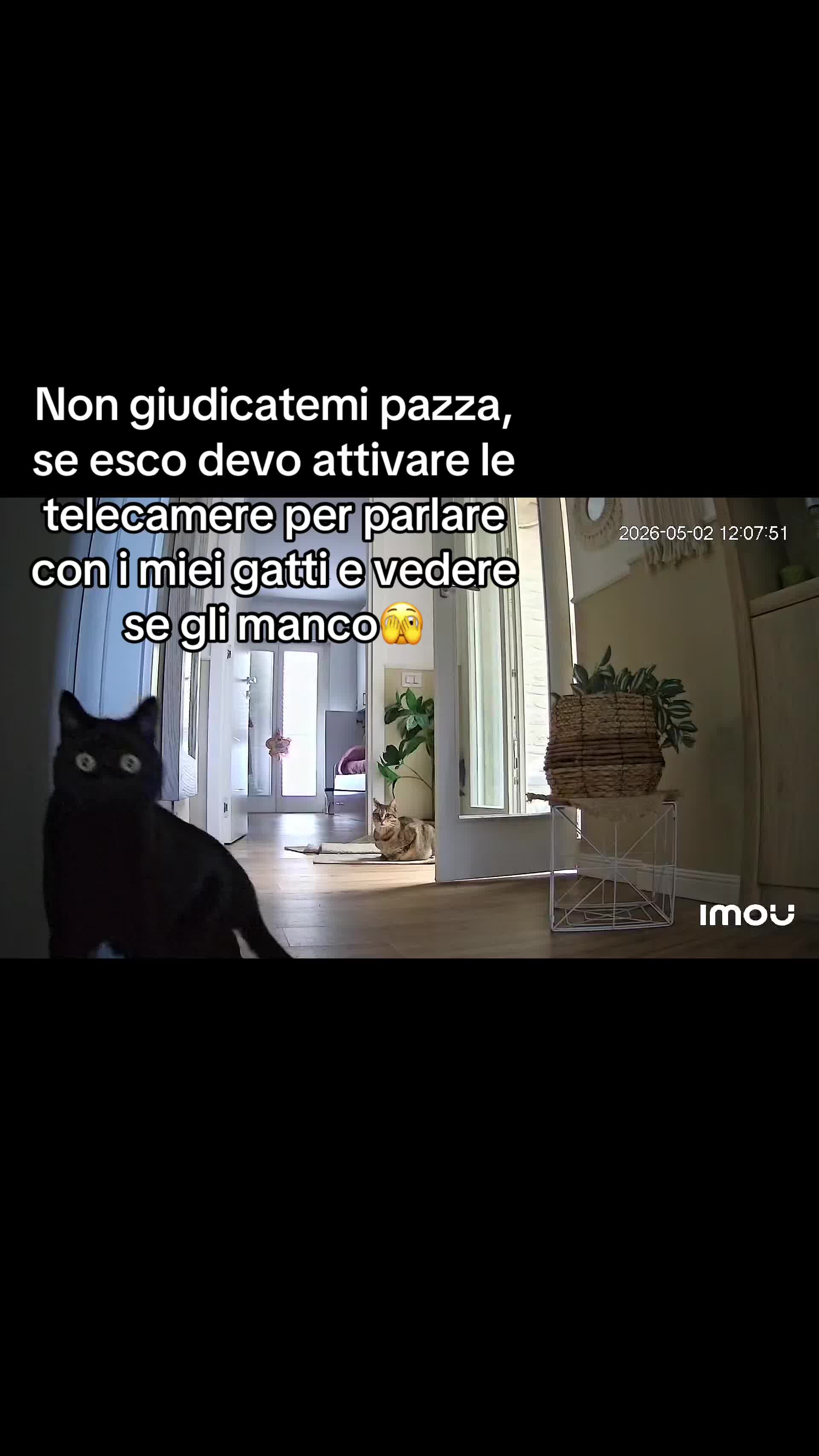 @Simona81🦋