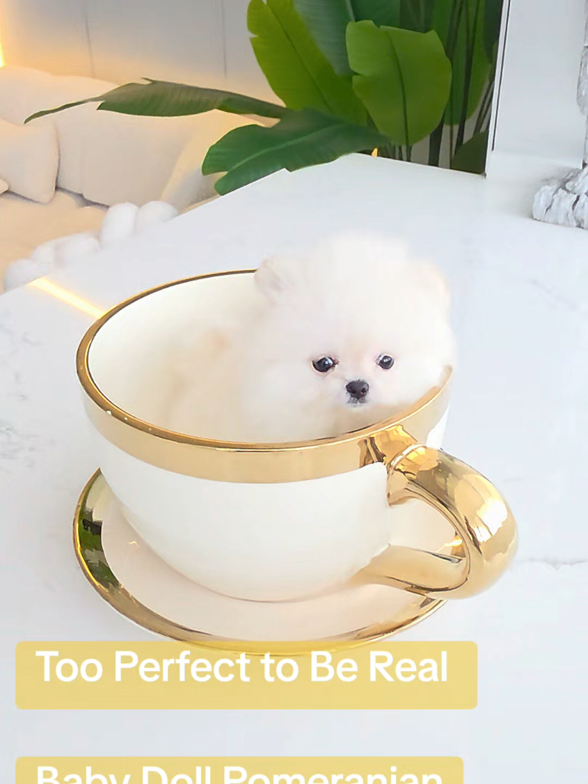 @Tiny Treasures Tea Cups