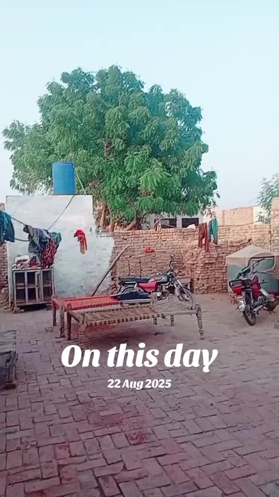 @💚Jamshed Magsi51214