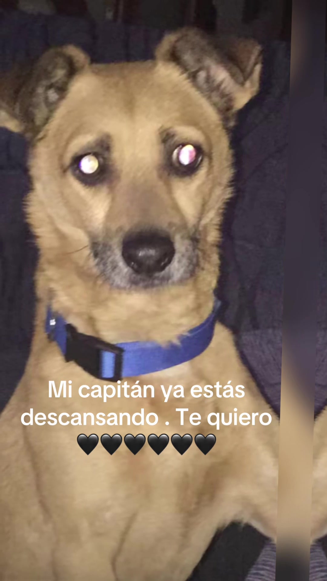 @Santisp