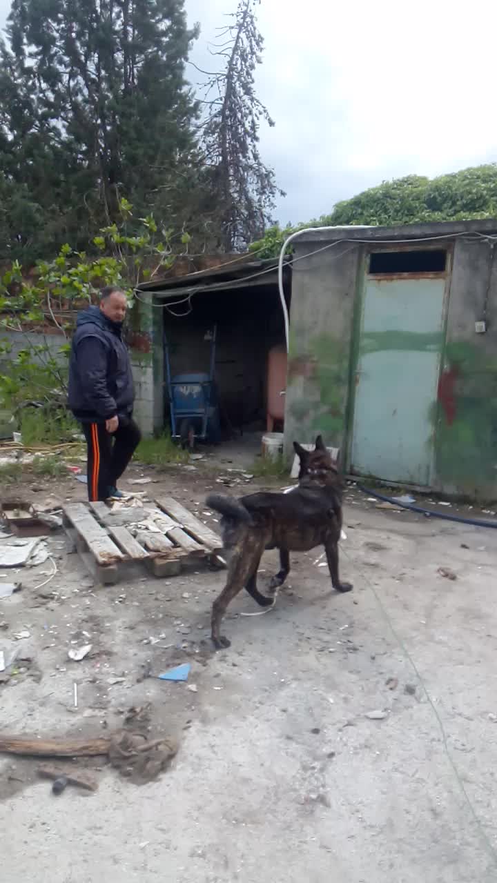 @Panagiotis Katselos