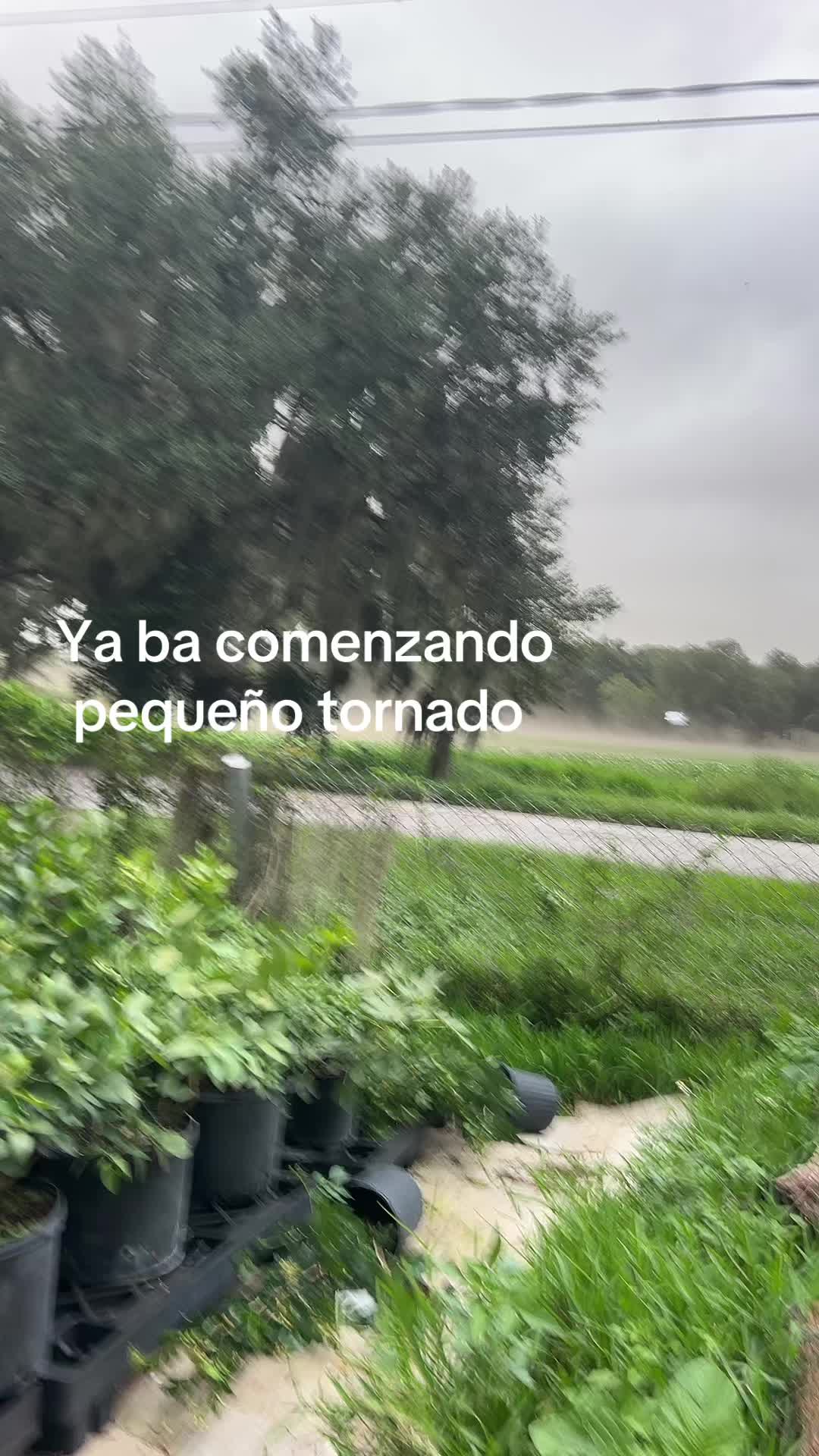 @Carmen Diaz
