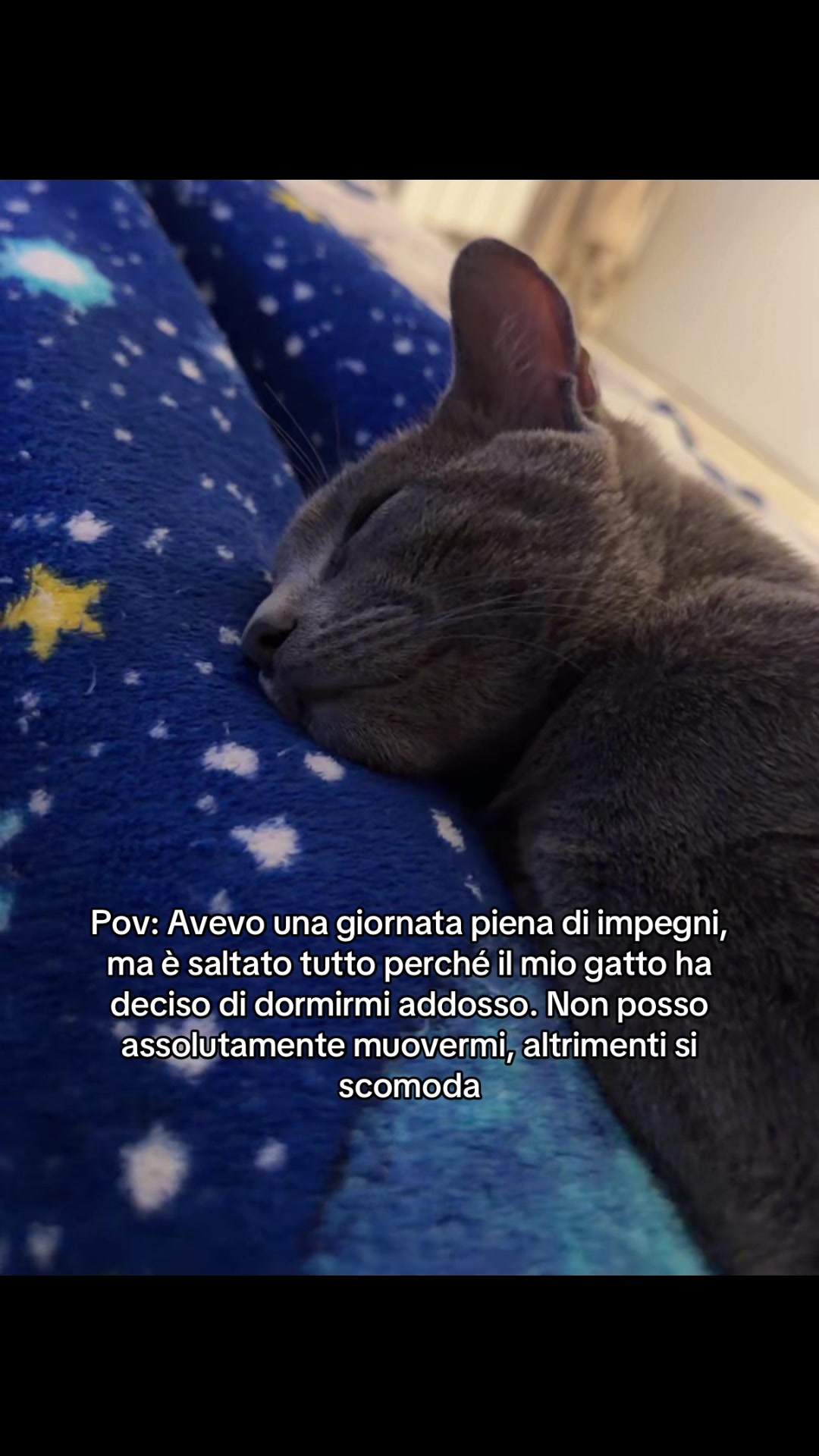 @sailorgaalaaxy
