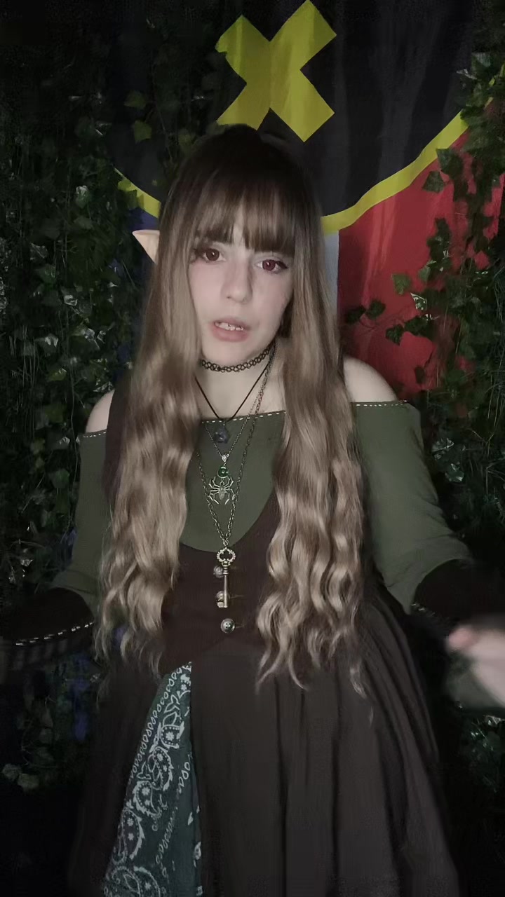 @lostintheforestcos🇵🇹🚦