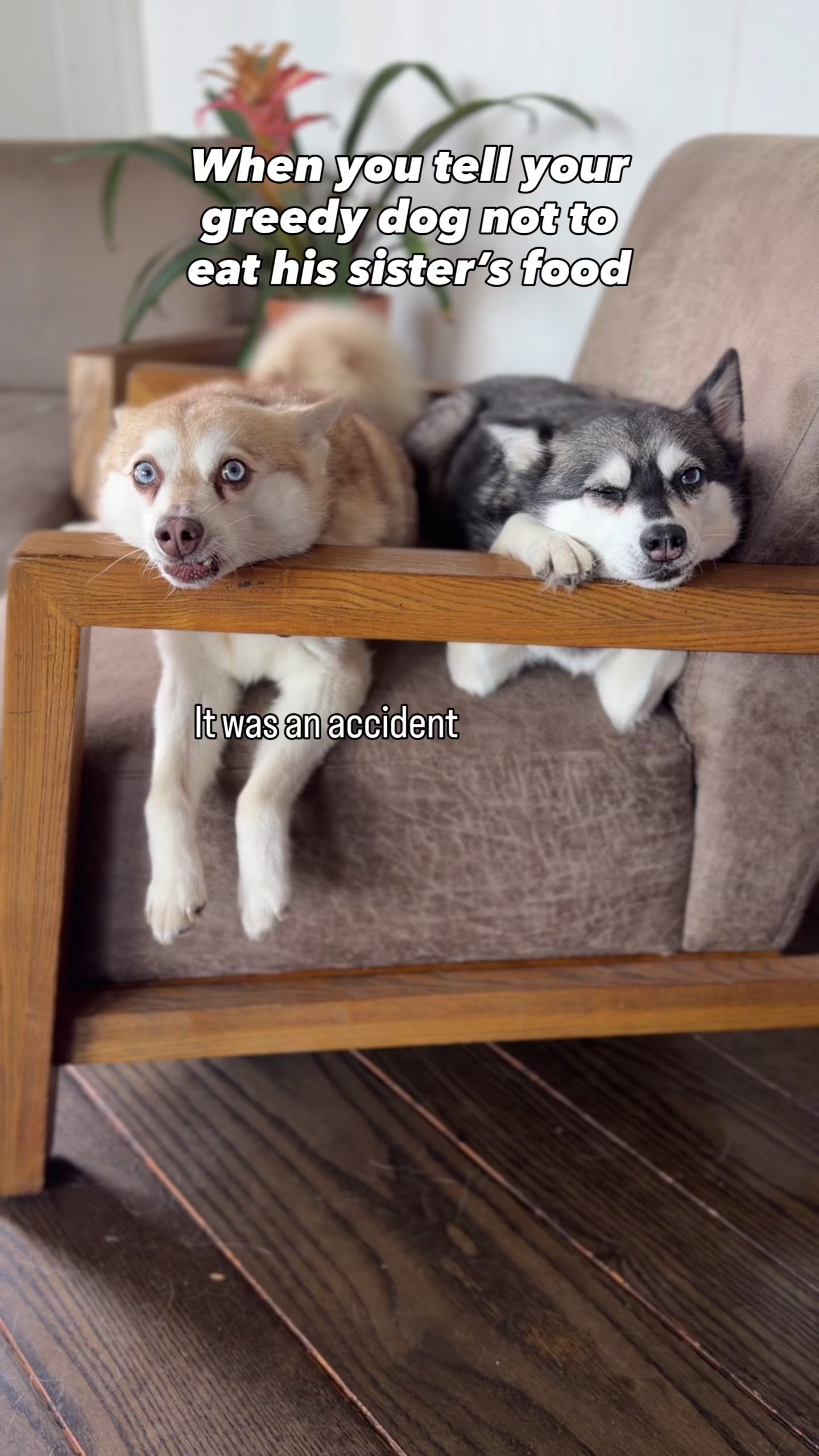 @lifewithkleekai