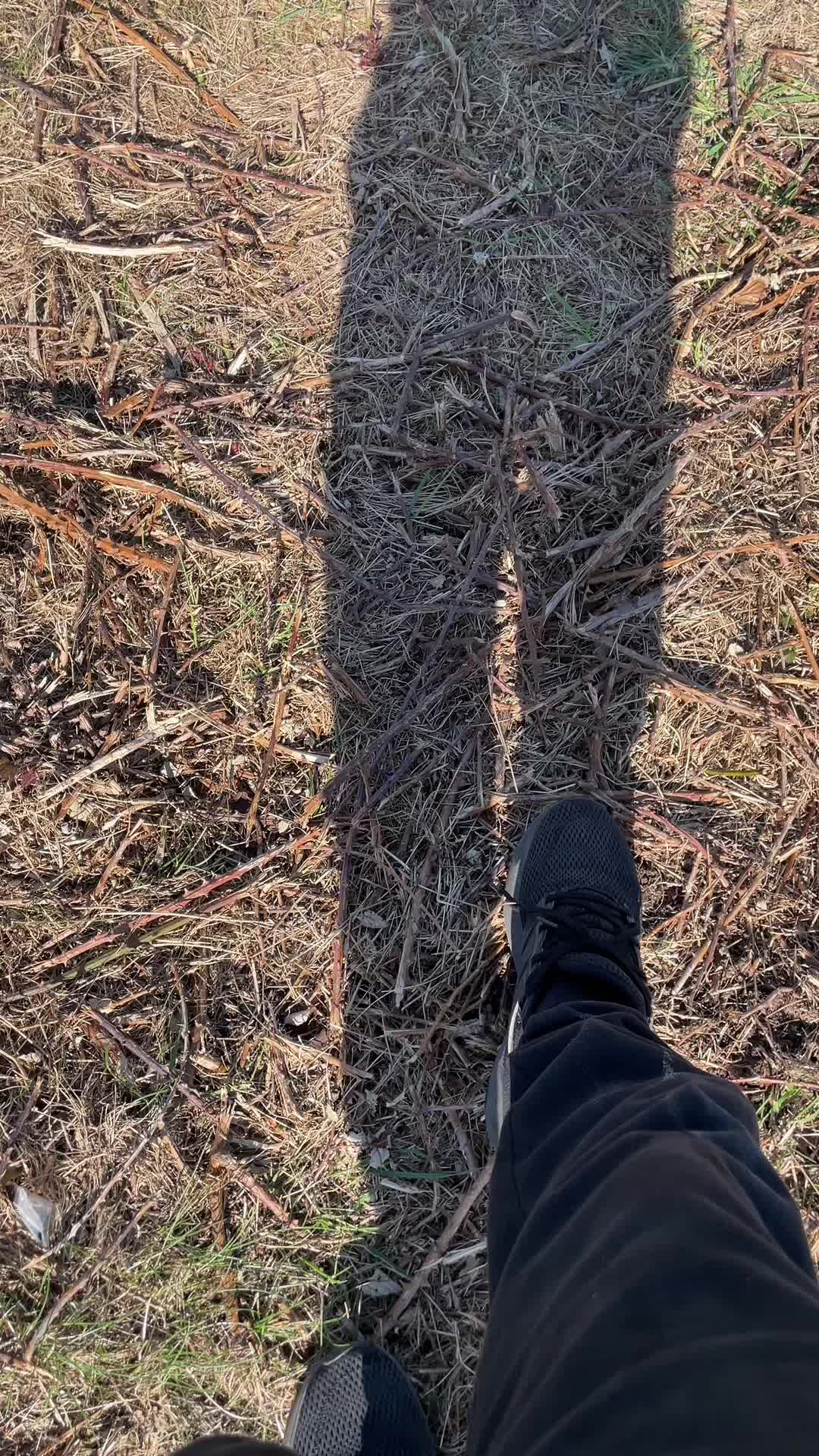 @Elliott 𖢇