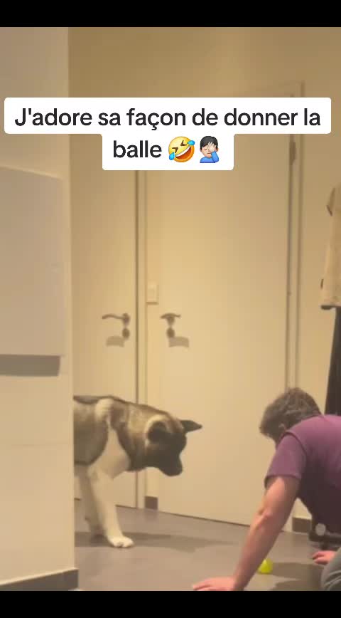 @Eric 57