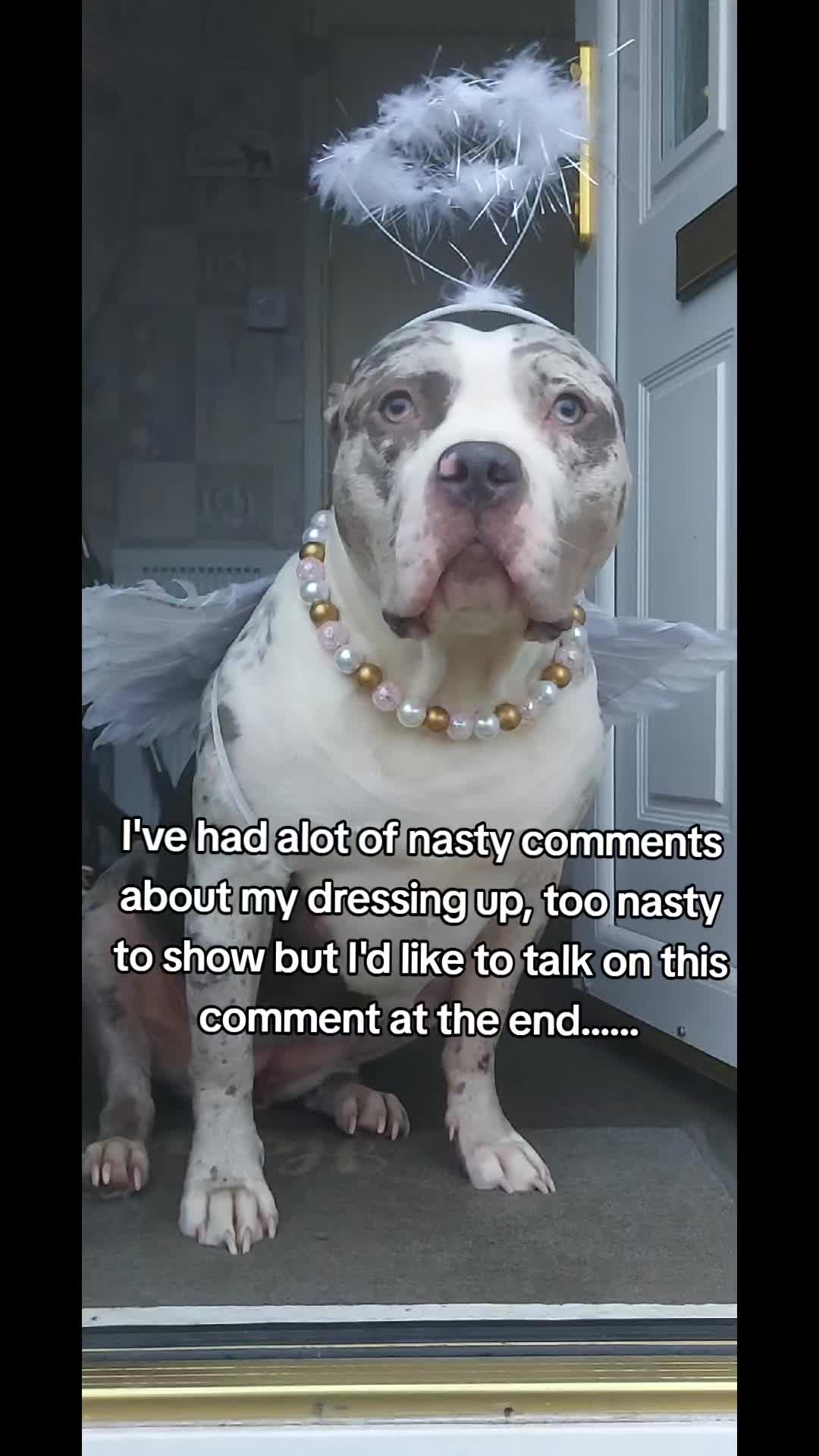 @kirsty+starlight the xl bully
