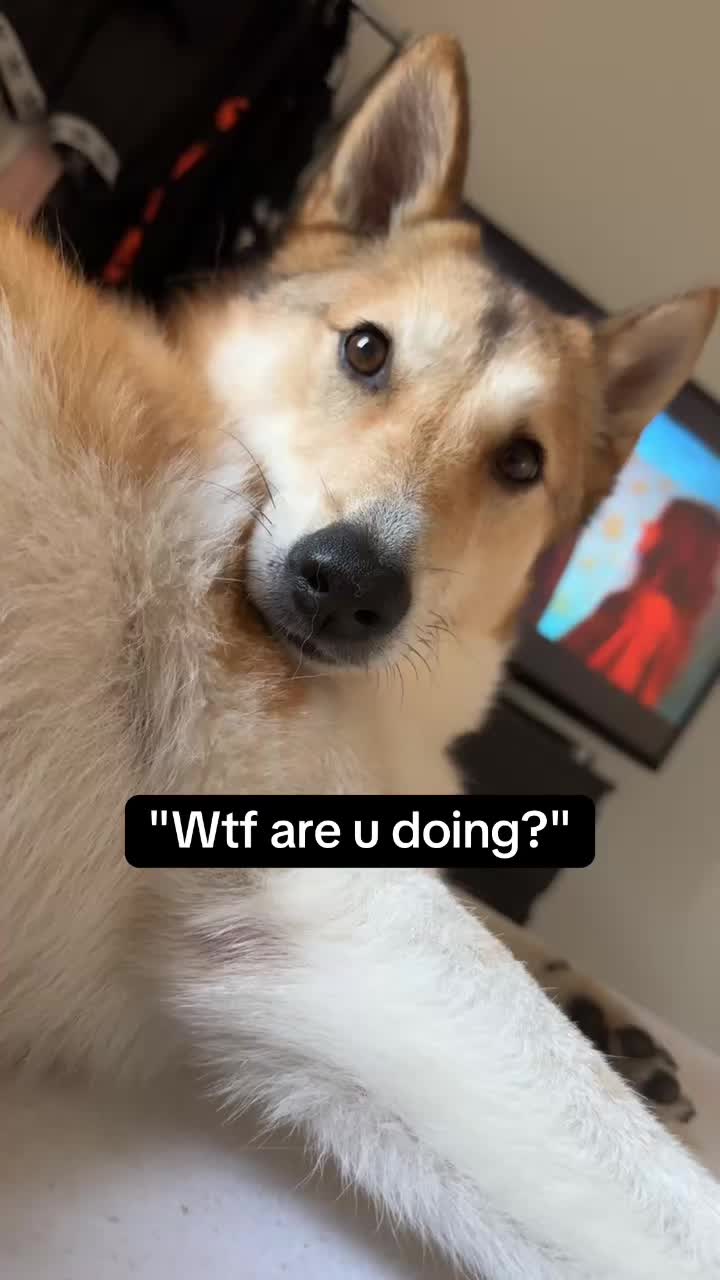 @jjanw