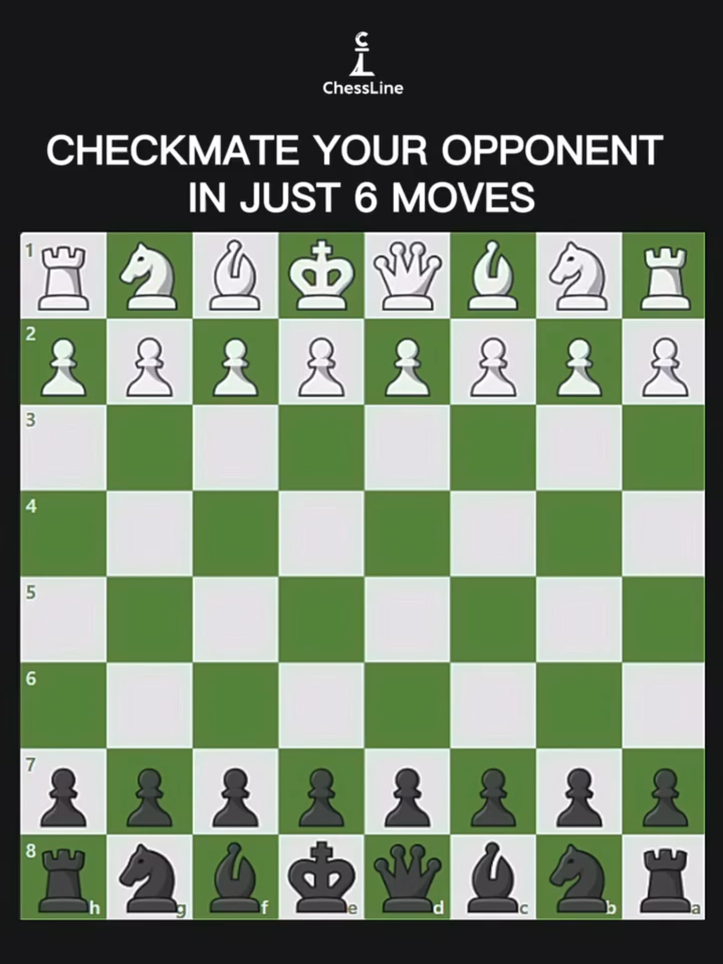 @chessline.io