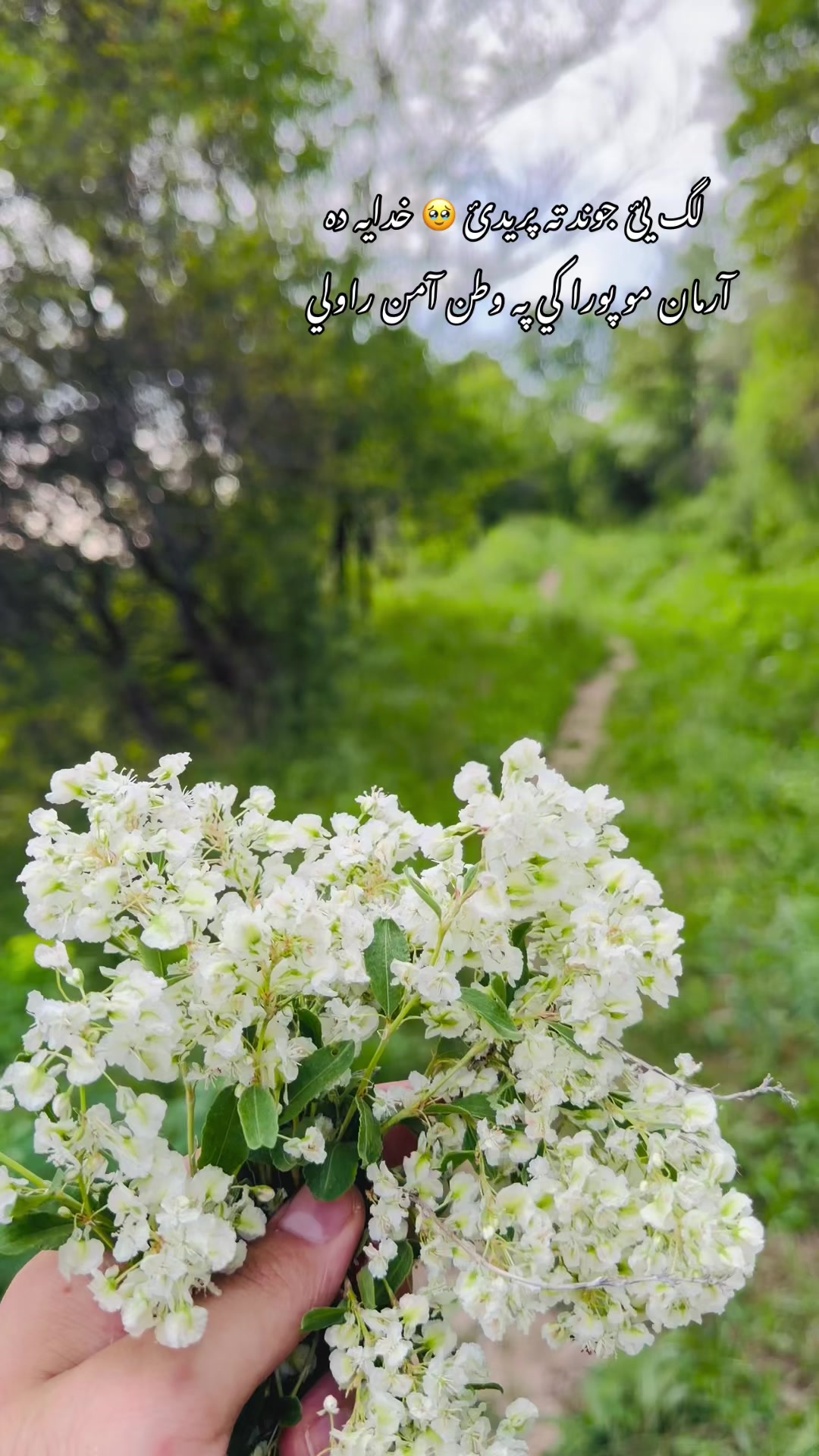 @Ahmeeeed