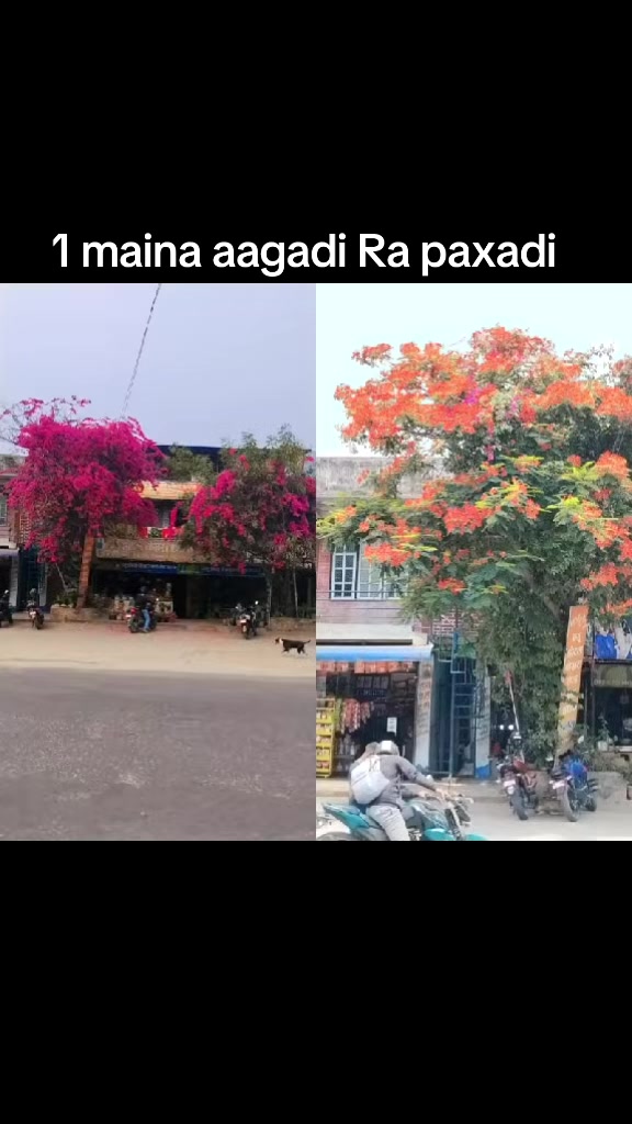@Anita Kc Thapa