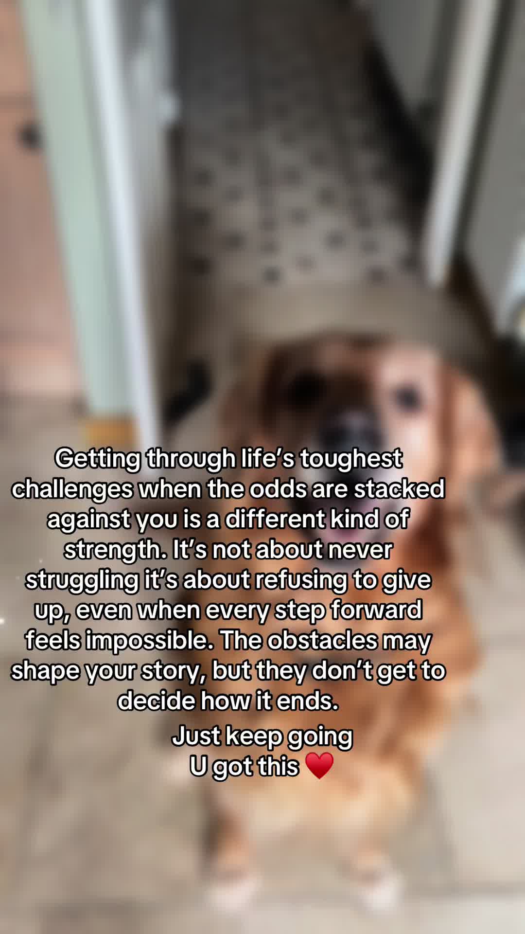 @Happy buddy