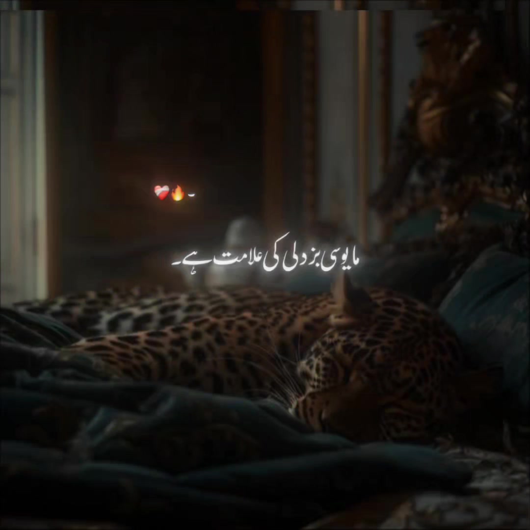 @انا فرست⚜️