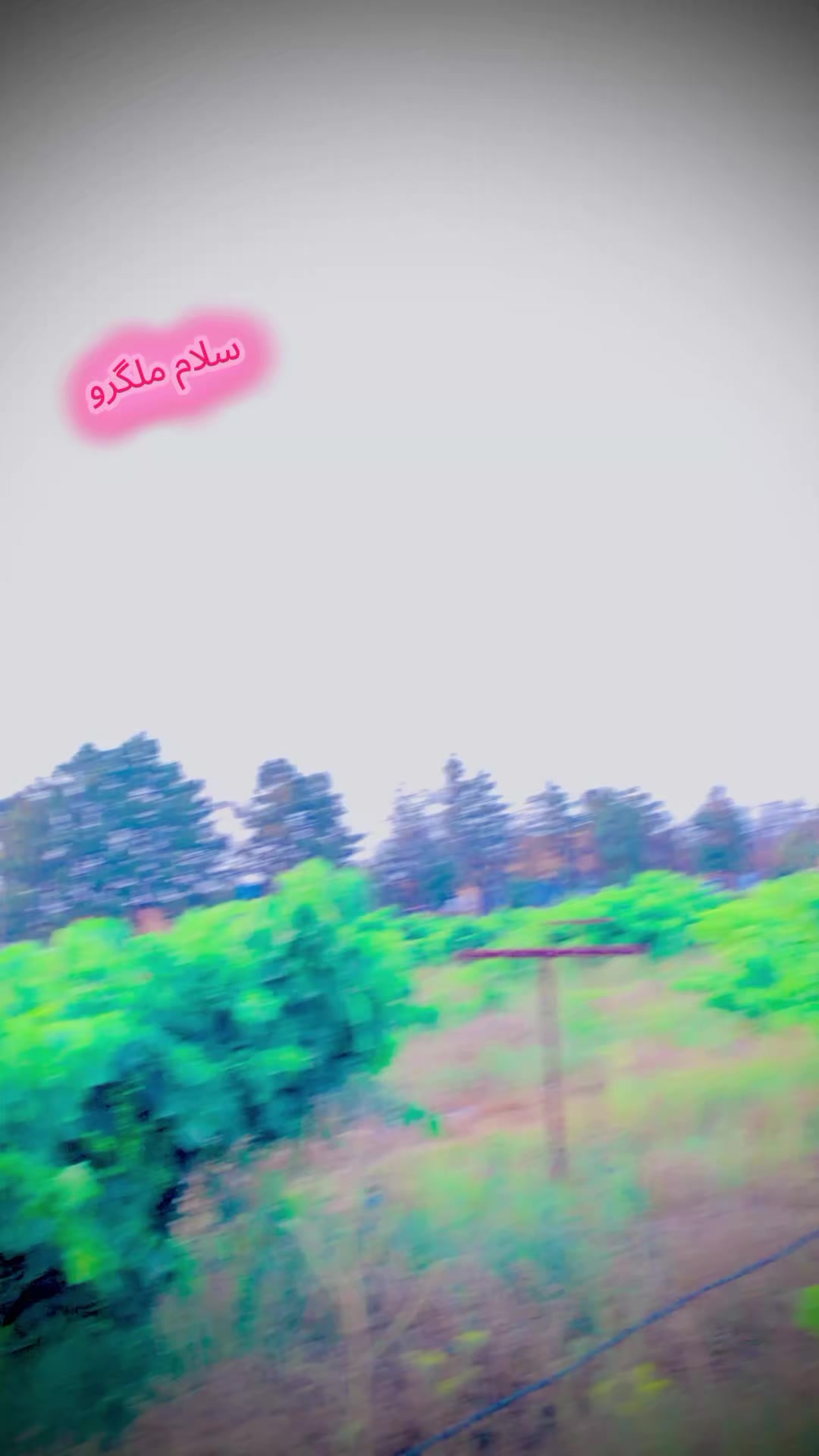 @💸M._.K._.804💸