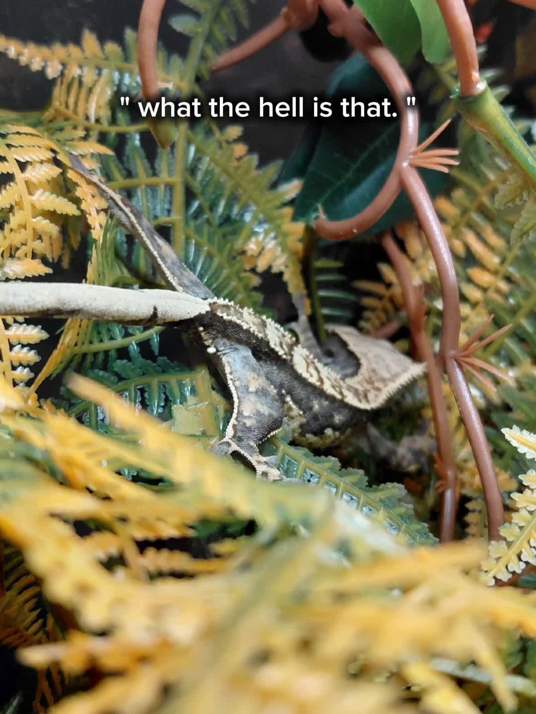 @ 