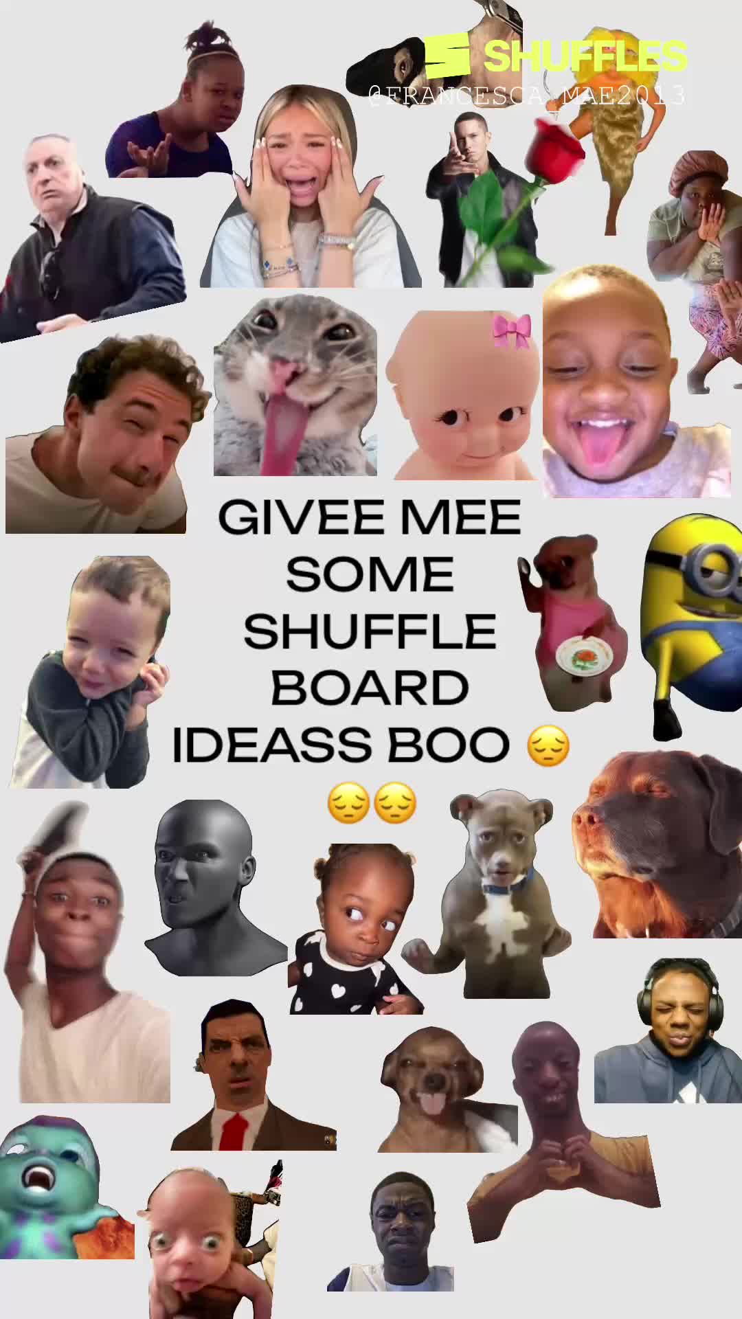 @Shuffles! 🐝✨