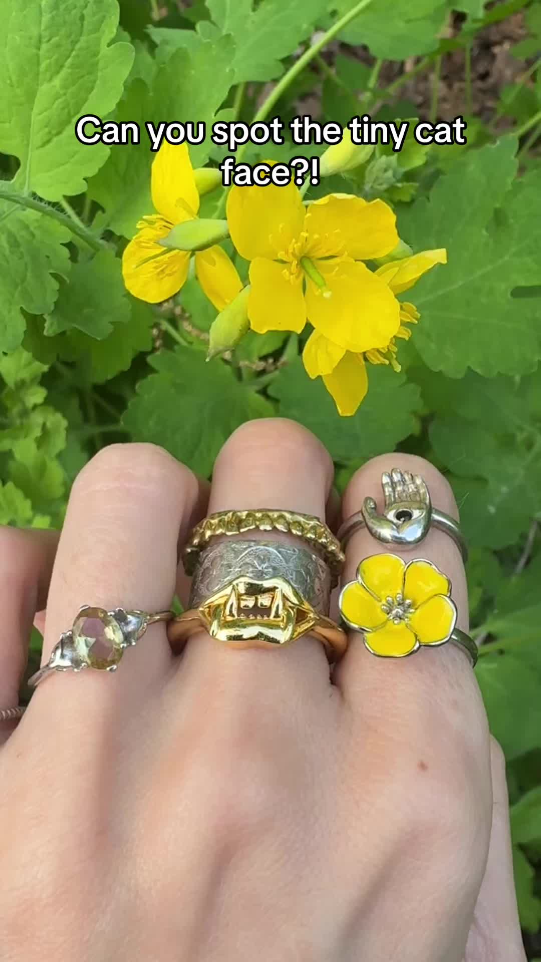 @VeraMeat