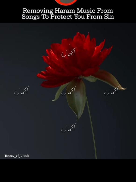 @𝐁𝐞𝐚𝐮𝐭𝐲_𝐨𝐟_𝐕𝐨𝐜𝐚𝐥𝐬