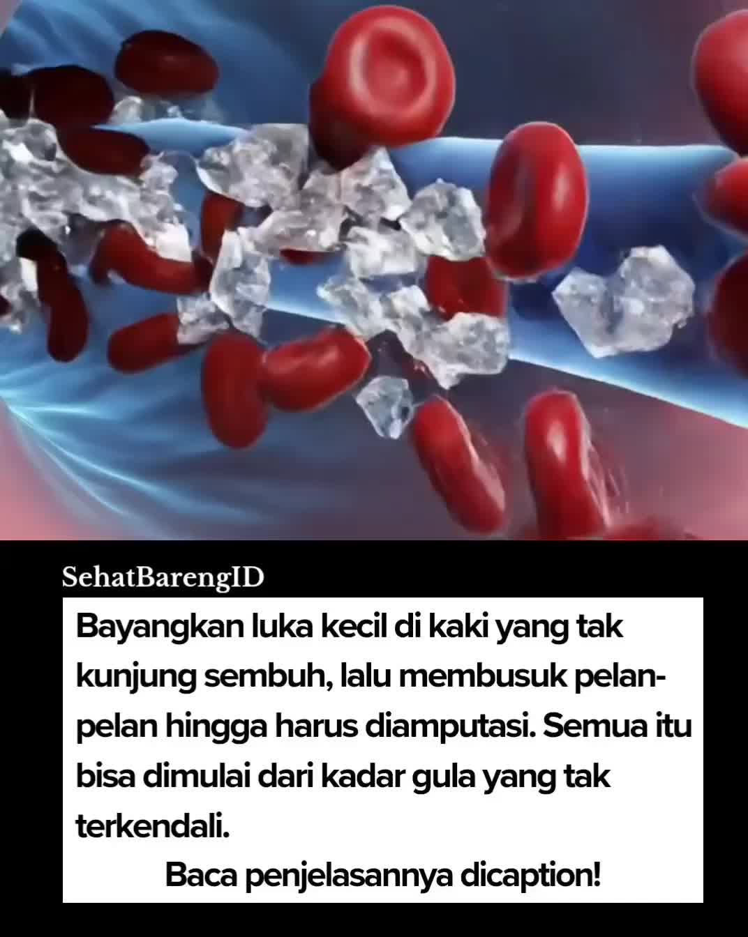 @SehatBarengID