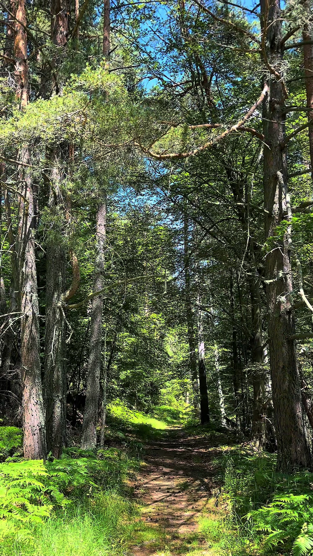 @Explore nature with me
