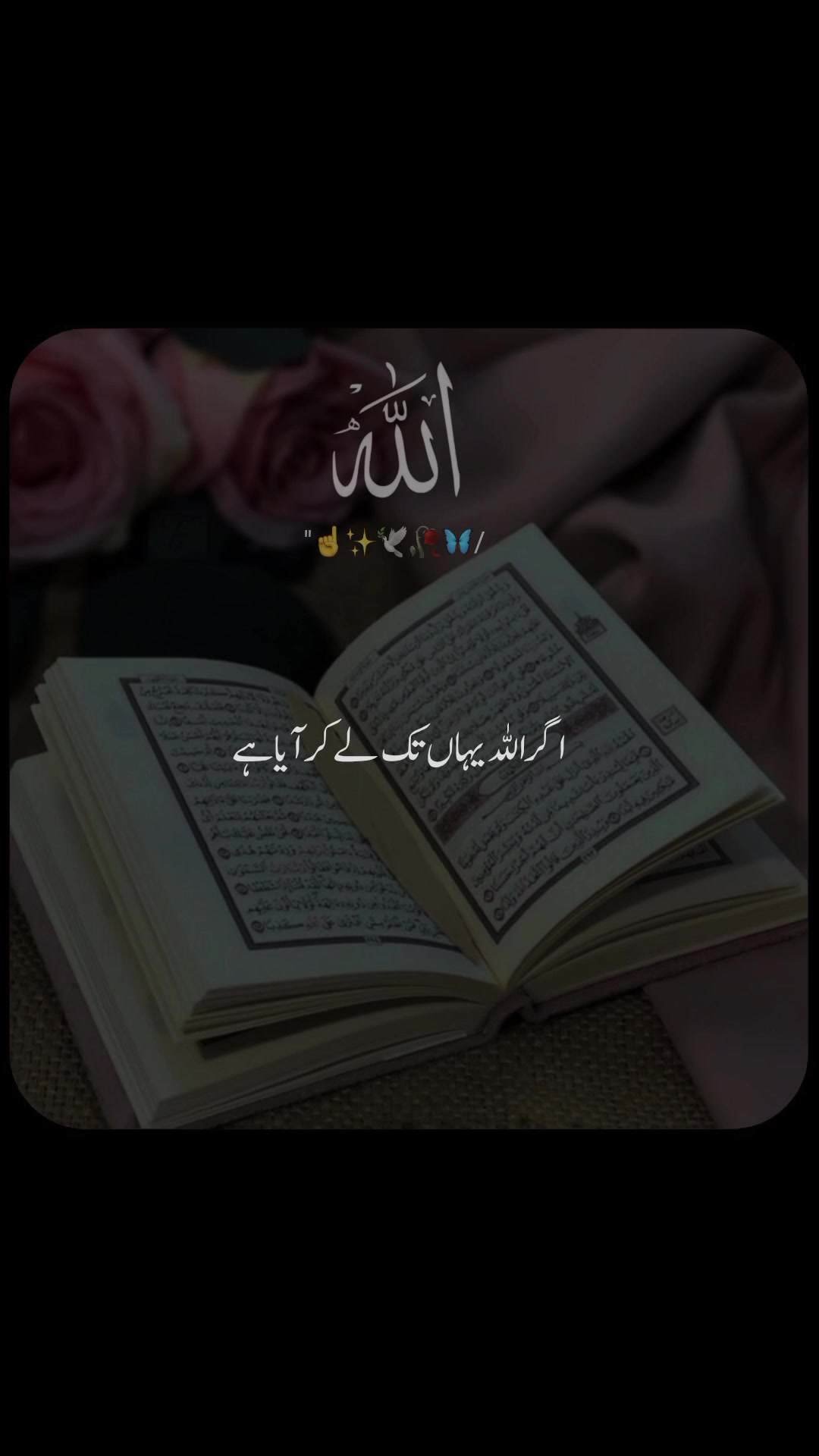 @𝐀𝐤𝐦𝐚𝐥_𝐄𝐝𝐢𝐭𝐬
