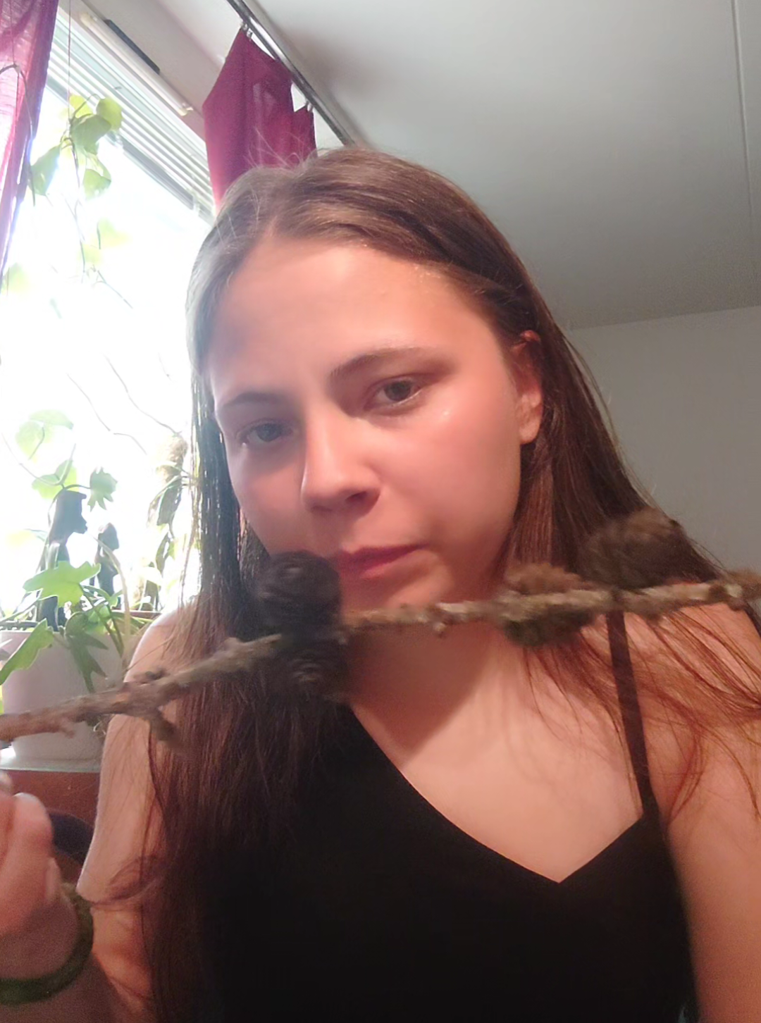 @🦎🦎