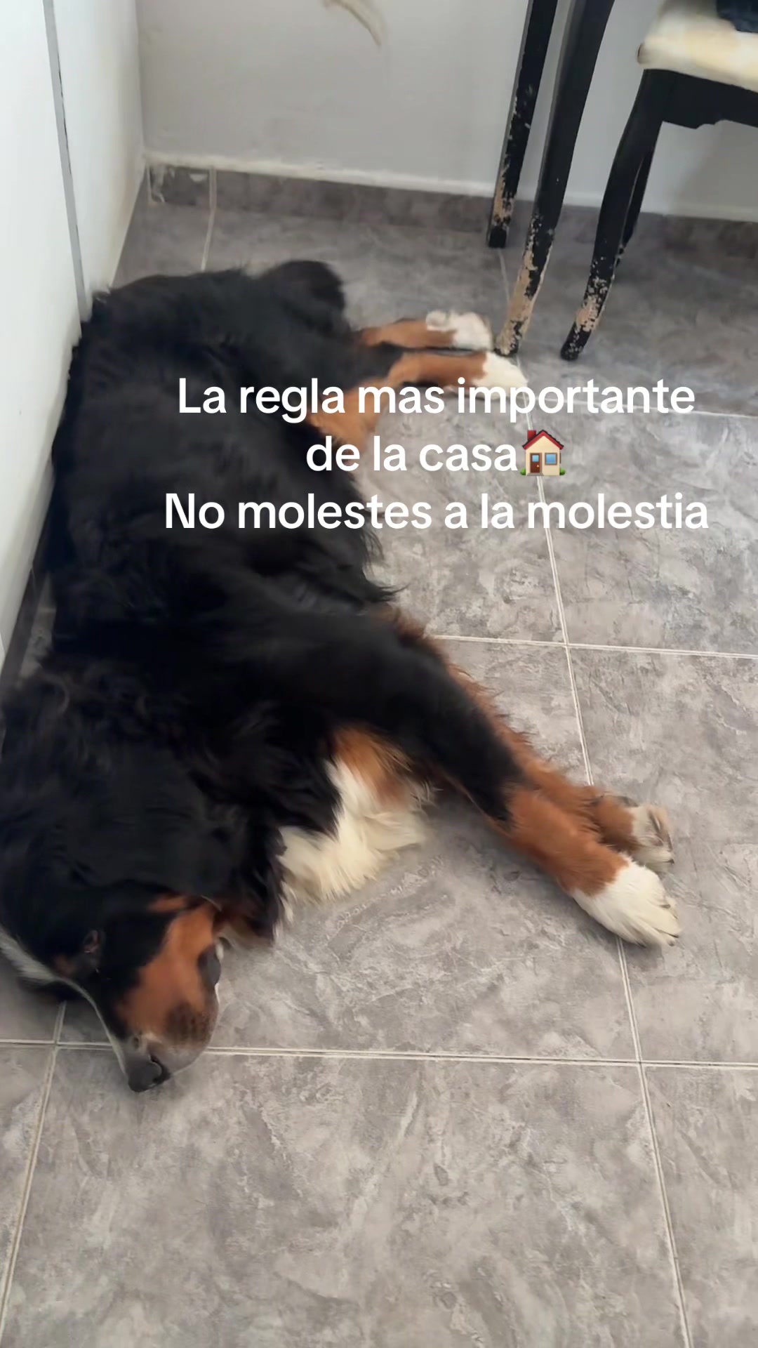 @Judit Blasco