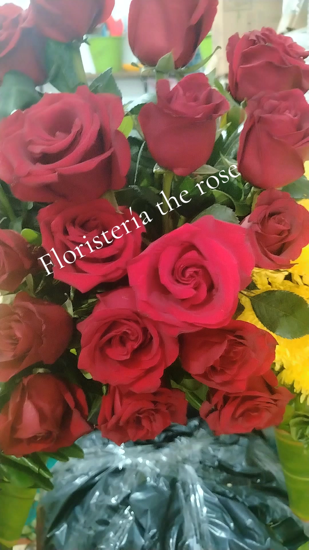 @Aurora Lopez