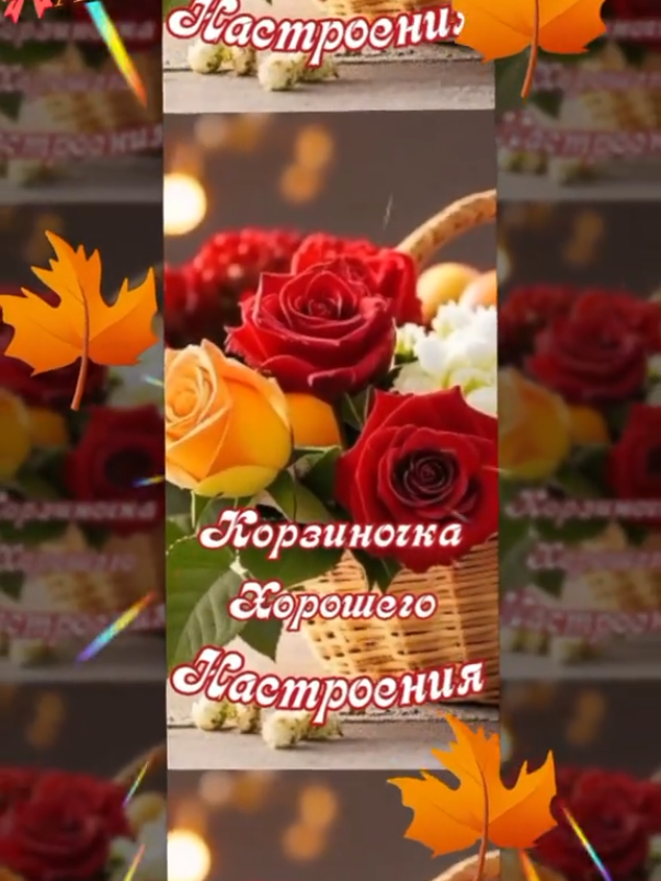 @ALEKSA