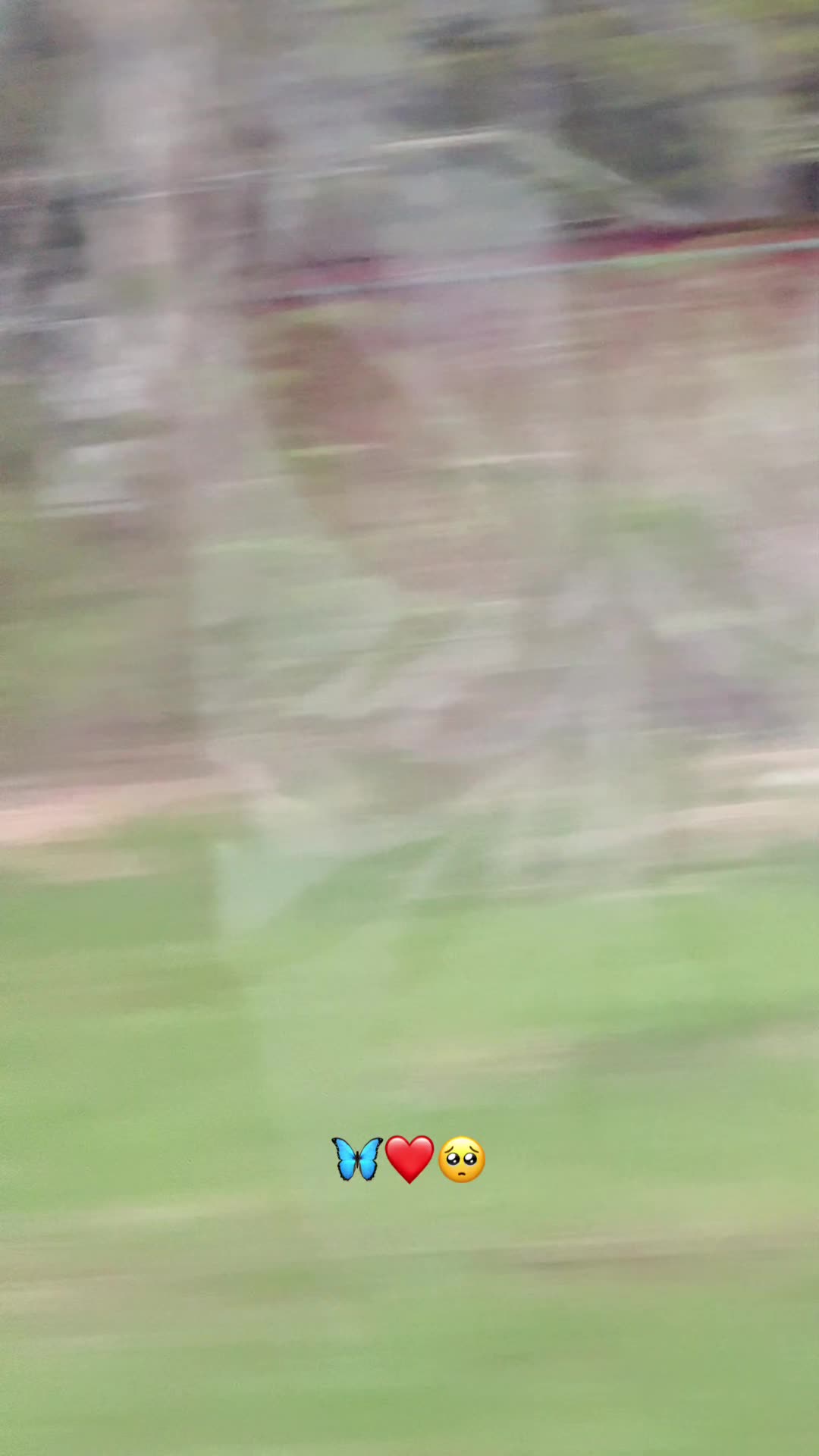 @𝐃𝐀𝐑𝐌𝐀𝐍🦋