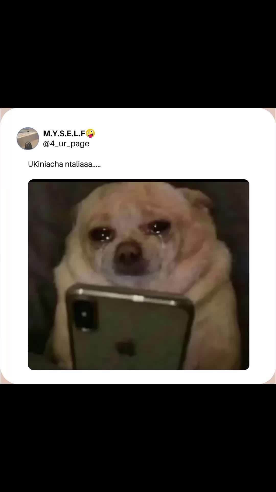 @M.Y.S.E.L.F🤪