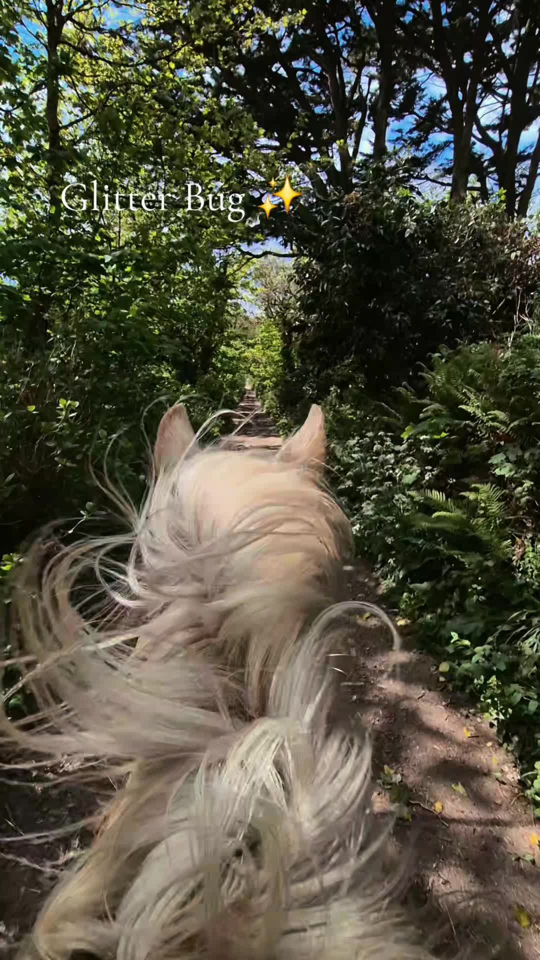 @Sinead 🐴 🖤💜🏍