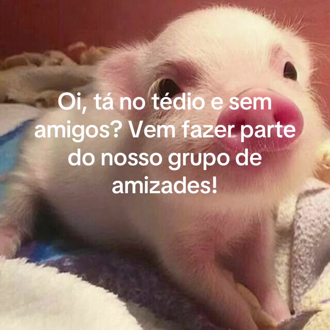 @Resenhaaa